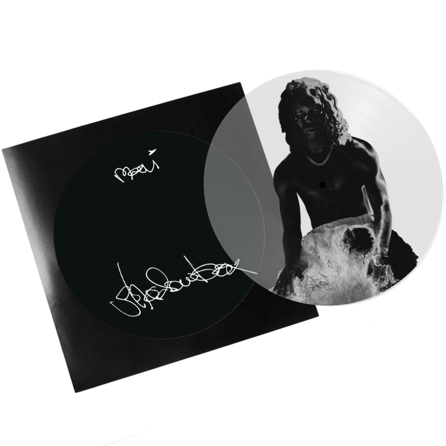 Shadowbox (Vinyl LP) (Transparent Picture Disc) – Nature Sounds