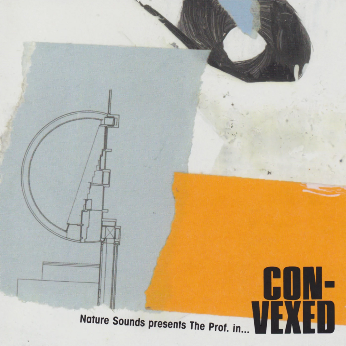 Convexed (MP3) – Nature Sounds