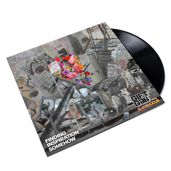 Finding Inspiration Somehow (Vinyl LP) – Nature Sounds